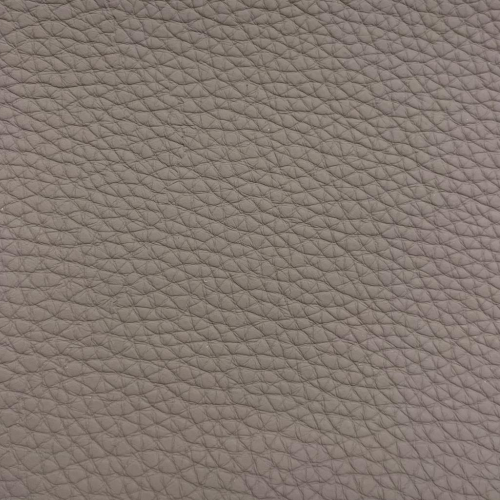 Corium
